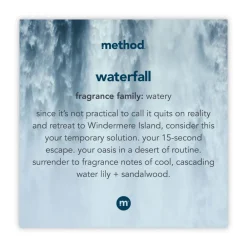 10 oz Foaming Hand Wash - Waterfall Scent (6/Carton) Cleaning & Janitorial Supplies