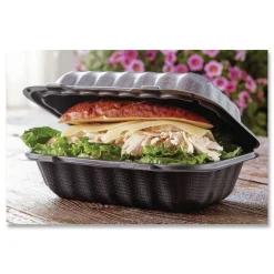 Discount EarthChoice 9 in. x 6 in. x 3.25 in. Plastic SmartLock Microwavable MFPP Hinged Lid Container - Black (270/Carton) Tabletop And Serveware