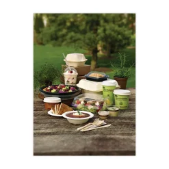 Discount EarthChoice 7.8 in. x 7.8 in. x 2.8 in. Bagasse Hinged Lid 3-Compartment Container with Dual Tab Lock - Natural (150/Carton) Tabletop And Serveware