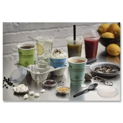 Sale EarthChoice 9 - 20 oz. No Straw Slot Cold Cup Lids - Clear (1020/Carton) Tabletop And Serveware