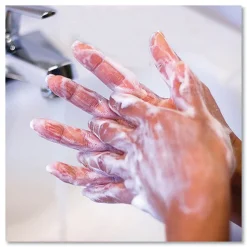 Online Light Scent 1 Gallon Bottle Antibacterial Liquid Hand Soap (2-Piece/Carton) Cleaning & Janitorial Supplies
