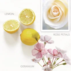 New 12.2 oz. Hand Wash - Vibrant Lemon Scent (12/Carton) Cleaning & Janitorial Supplies