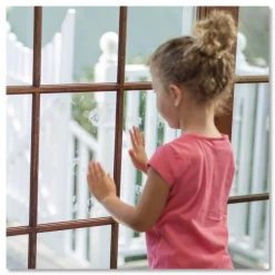 Online Professional Cleaners Glass Cleaner 1 gal Jug (4/Carton) Cleaning & Janitorial Supplies