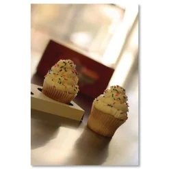 Sale 7.88 in. x 3.88 in. x 0.88 in. 2-Cupcake Paper Holder Inserts - White/Brown (200/Bundle) Tabletop And Serveware