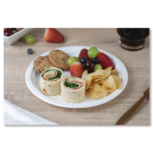 New ChampWare Molded Fiber Tableware, Molded Fiber Plate, 9-in dia, White, 125 Plates/Sleeve, 4 Sleeves/Carton Tabletop And Serveware