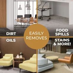 Sale 1 Gallon Bottle Unscented Clean Building Carpet Cleaner Concentrate Cleaning & Janitorial Supplies