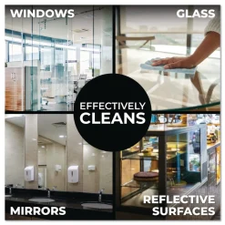 Online 1 Gallon Pro Glass Cleaner (4/Carton) Cleaning & Janitorial Supplies