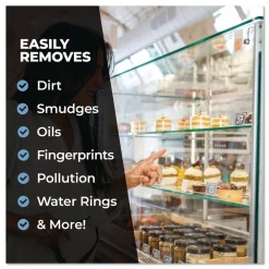 Online 1 Gallon Pro Glass Cleaner (4/Carton) Cleaning & Janitorial Supplies