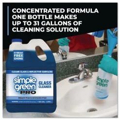 Online 1 Gallon Pro Glass Cleaner (4/Carton) Cleaning & Janitorial Supplies