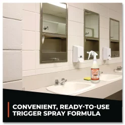 Best 32 oz Ready-To-Use Pro Odor Control - Herbal (12/Carton) Odor Control