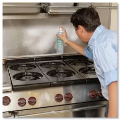 Online Crystal 20 oz Aerosol Spray Foaming Industrial Cleaner and Degreaser (12/Carton) Cleaning & Janitorial Supplies