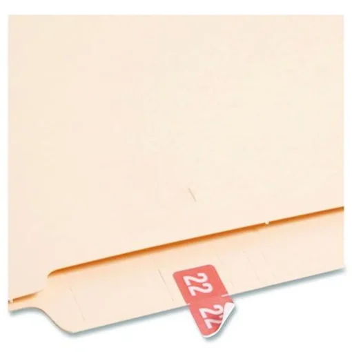 Best 0.5 in. x 1 in. Yearly End Tab 22 File Folder Labels - Pink (250/Pack) Labels & Label Makers