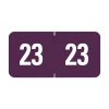 Best 0.5 in. x 1 in. Yearly End Tab 23 File Folder Labels - Purple (250/Pack) Labels & Label Makers