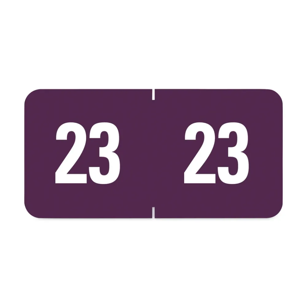 Best 0.5 in. x 1 in. Yearly End Tab 23 File Folder Labels - Purple (250/Pack) Labels & Label Makers