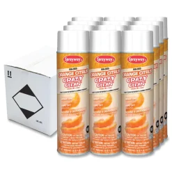 Outlet 19 oz. Aerosol Spray Orange Citrus Crazy Clean - Orange Scent (12/Carton) Odor Control