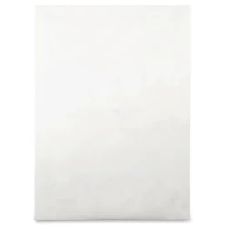 Best Tyvek 10 x 13 18 lb. Heavyweight Square Flap Open End Expansion Mailers - White (100/Carton) Mailing, Packing & Shipping