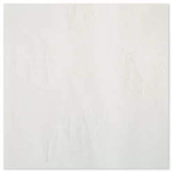 Outlet 101293 9.13 x 9.5 2-Ply Multifold Paper Towels - White (189/Pack, 16 Packs/Carton) Paper & Dispensers