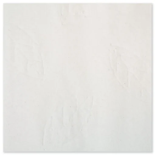 Outlet 101293 9.13 x 9.5 2-Ply Multifold Paper Towels - White (189/Pack, 16 Packs/Carton) Paper & Dispensers