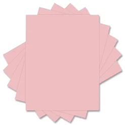 Best 8.5 in. x 11 in. 20 lbs. Bond Weight Deluxe Colored Paper - Pink (10 Reams/Carton) Paper & Printables