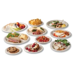 Discount 6 in. Molded Fiber Compostable Tableware Plate - White (1000/Carton) Tabletop And Serveware