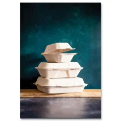 Hot 9 in. x 18 in. x 2 in. Molded Fiber Compostable Sugarcane 3-Compartment Clamshell Containers - White (200/Carton) Tabletop And Serveware