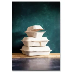 New 9 x 9 x 3 Nourish Molded Compostable Sugarcane Fiber Takeout Containers - White (200/Carton) Tabletop And Serveware