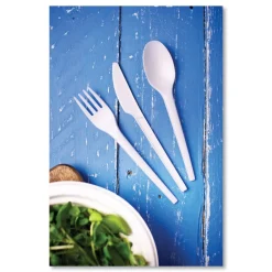 Best Compostable CPLA Cutlery Fork - White (1000/Carton) Tabletop And Serveware