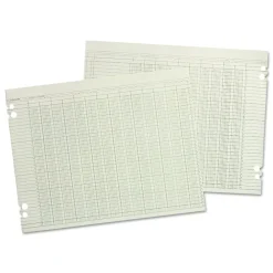 Outlet 30 Columns 11 in. x 17 in. Loose Sheet Accounting Sheets - Green (100/Pack) Recordkeeping & Forms