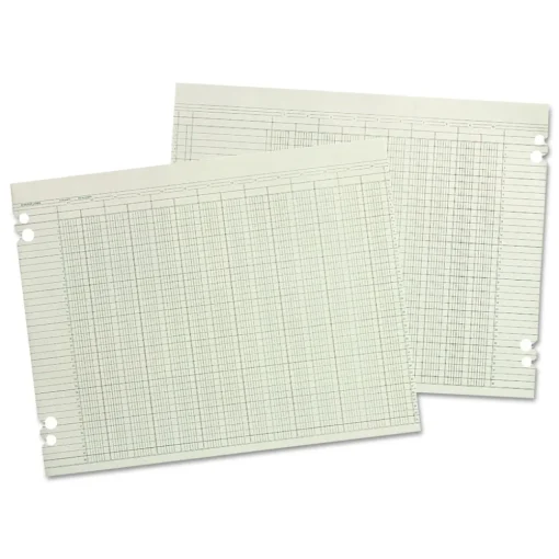 Outlet 30 Columns 11 in. x 17 in. Loose Sheet Accounting Sheets - Green (100/Pack) Recordkeeping & Forms