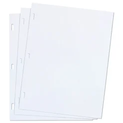11 x 8.5 Loose Ledger Sheets for Corporation and Minute Book - White (100/Box) Paper & Printables