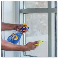 Clearance 32 oz. Spray Bottle Streak-Free Glass Cleaner - Pleasant Scent (12/Carton) Cleaning & Janitorial Supplies